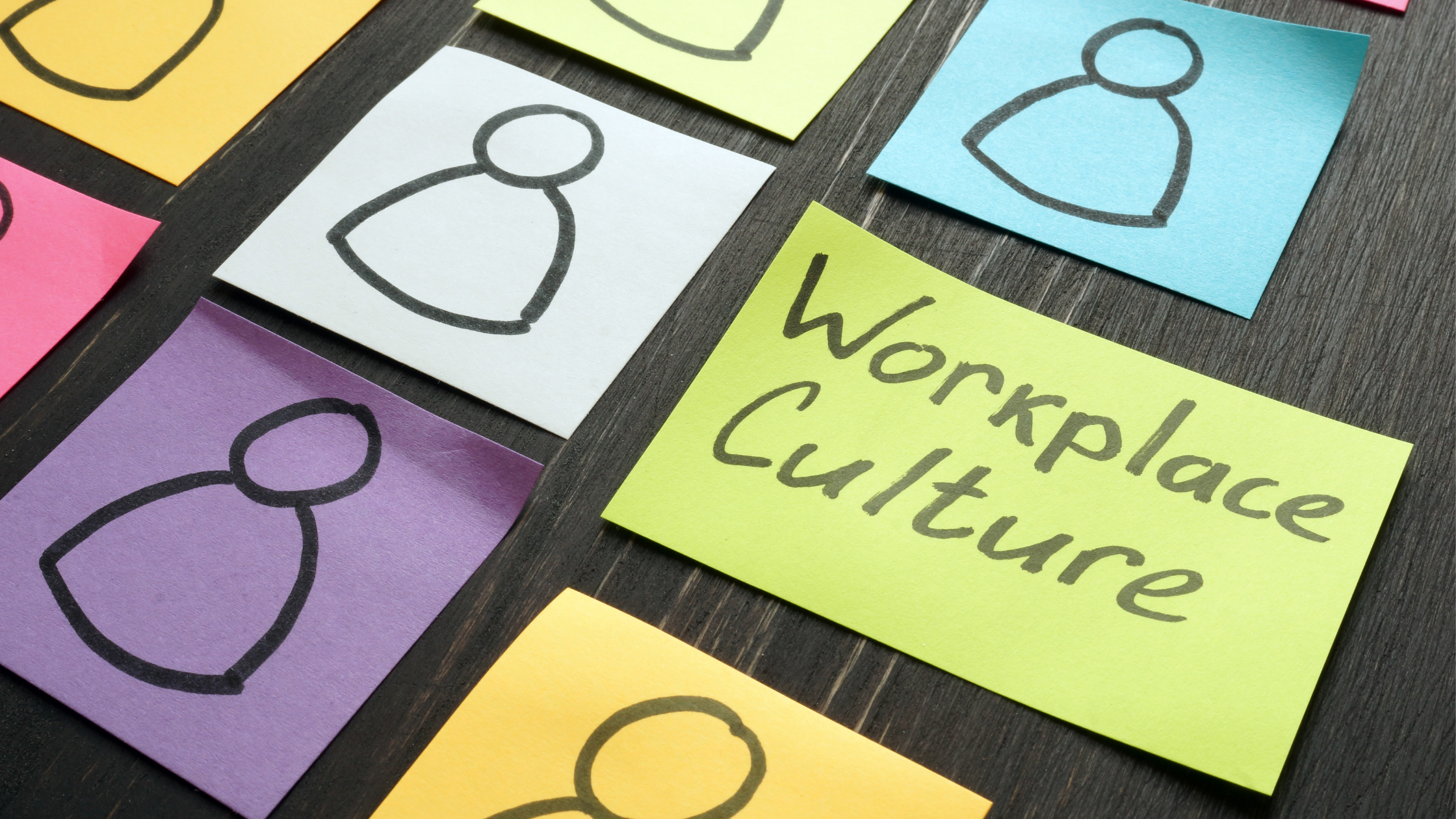 Culture 101: Know The Best Company Culture For You